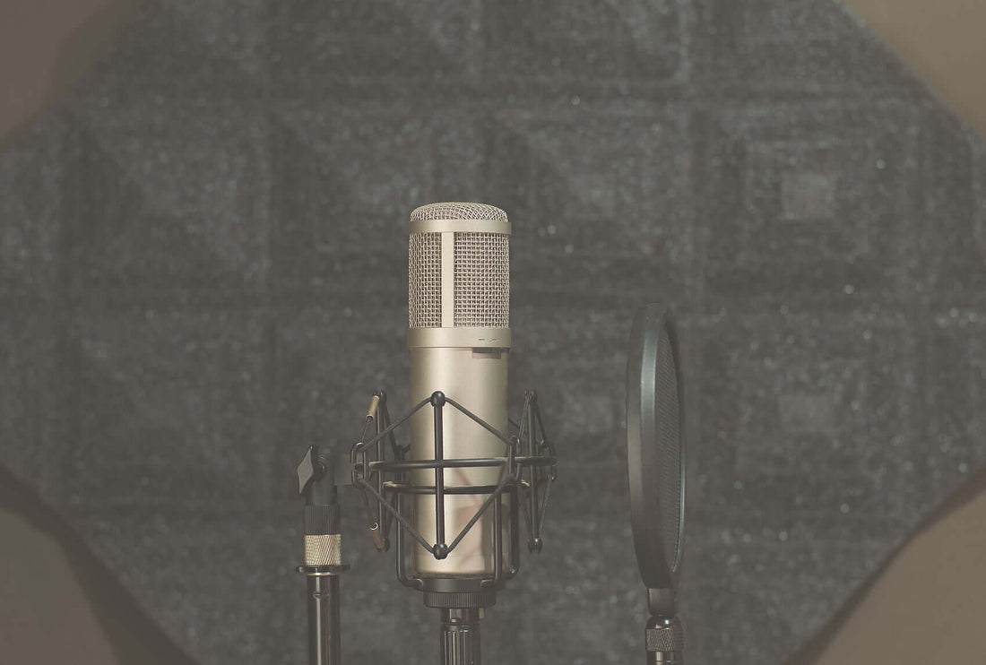 Professional microphone setup in a soundproof room with Natural Fiber Board (NFB) acoustic panels