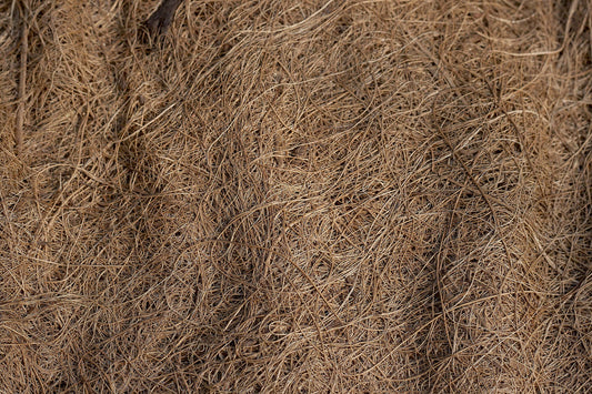 Close-up of natural fibers used in the production of Natural Fibre Board (NFB) for sustainable building materials.